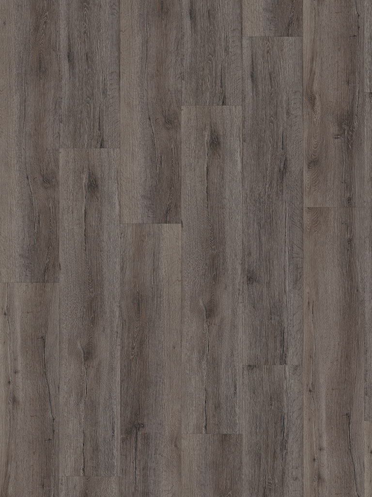 Klebe-Vinyl CHECK expert 2400E Auguste Eiche Breitdiele Premium