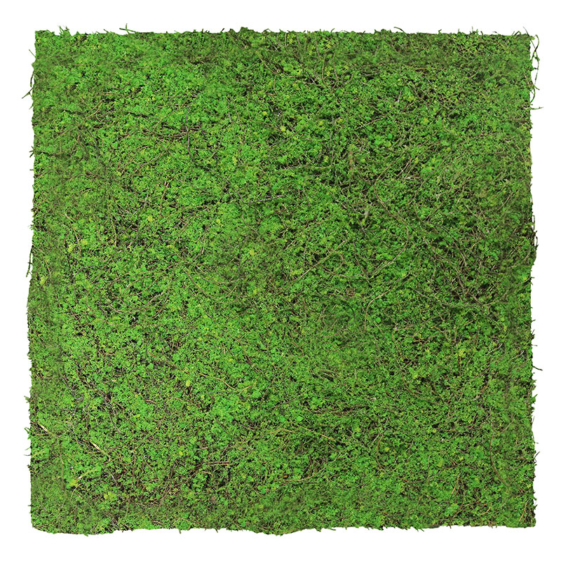 Wandpaneel Jangal Modular Wall 11107 Forest Green Ancient Tree 52 x 52 cm